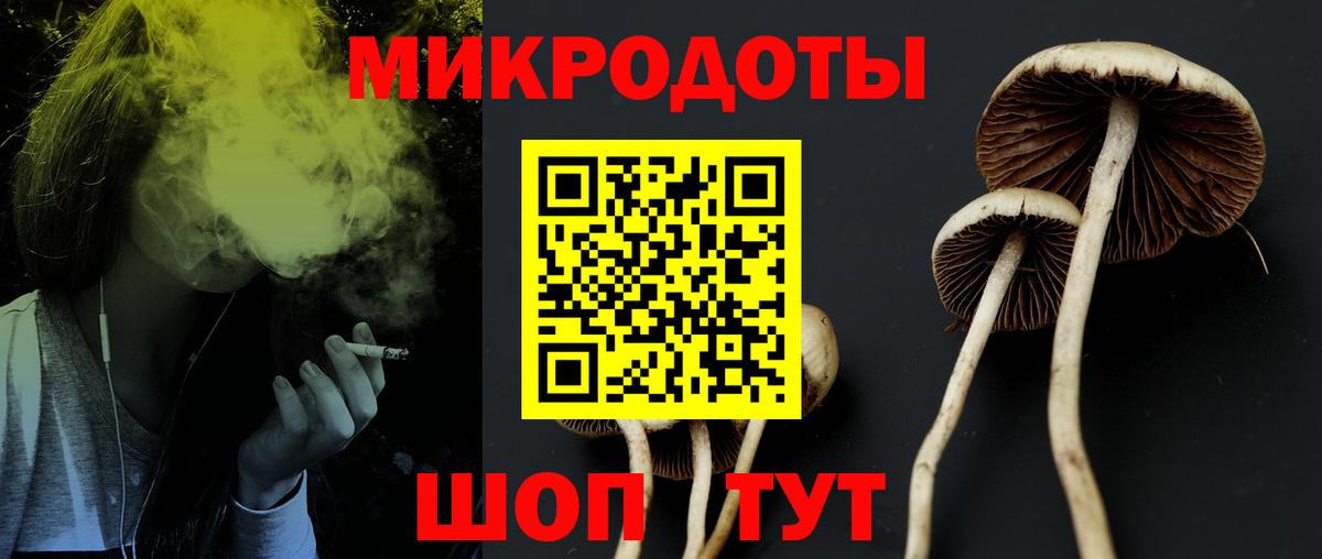 Псилоцибиновые грибы прущие грибы  Галлюциногенные грибы прущие грибы  хочу наркоту  Грязи  Вход с VPN 